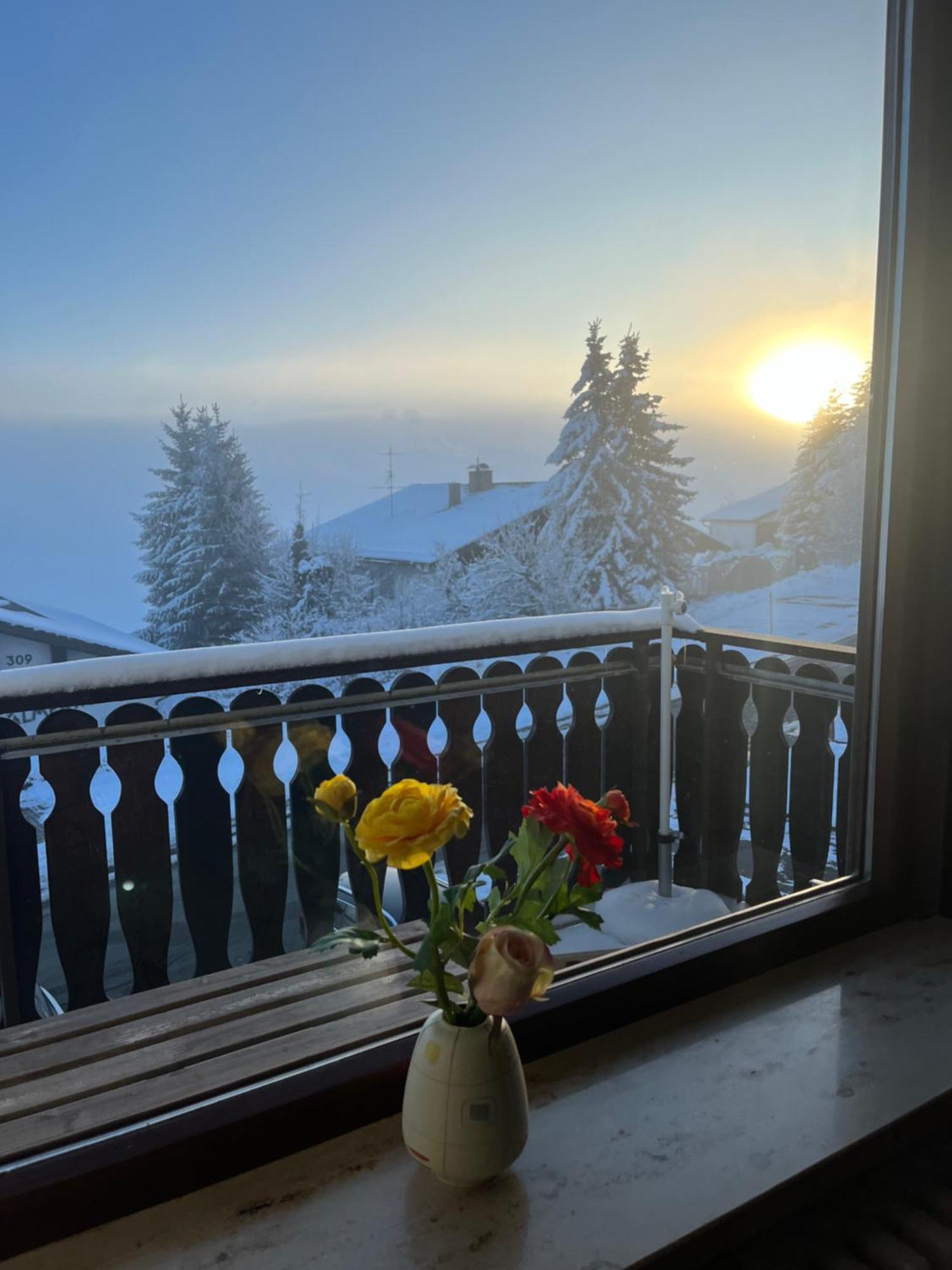 Helle Wohnung Mit Grossem Balkon Oberreute Luaran gambar